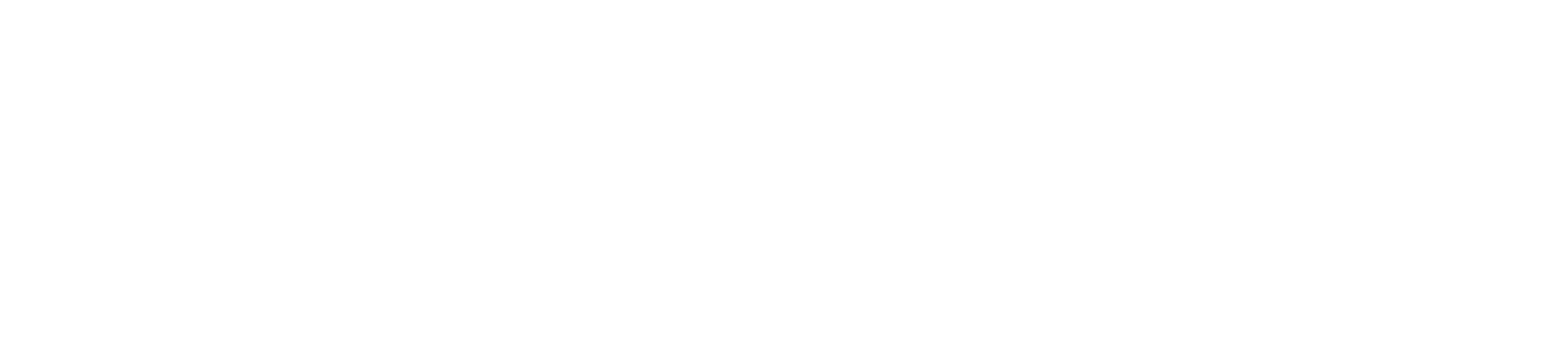 SmartMetrics - CRM, Integrations and Marketing Services